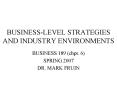 BUSINESS-LEVEL STRATEGIES AND INDUSTRY ENVIRONMENTS PowerPoint PPT Presentation