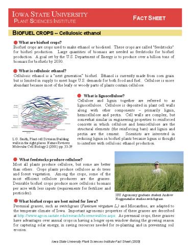What is lignocellulose