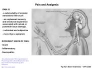 Pain and Analgesia