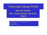 Forest%20and%20Canopy%20Profile