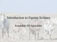 Introduction to Equine Science PowerPoint PPT Presentation