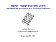 Tubing Through the Nano World: Nanotube Functionalization and Practical Applications PowerPoint PPT Presentation