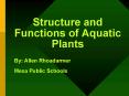 Structure and Functions of Aquatic Plants PowerPoint PPT Presentation
