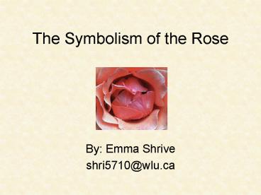 The Symbolism of the Rose