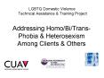 LGBTQ Domestic Violence Technical Assistance PowerPoint PPT Presentation