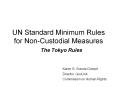 UN%20Standard%20Minimum%20Rules%20for%20Non-Custodial%20Measures PowerPoint PPT Presentation
