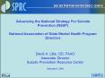 Advancing the National Strategy For Suicide Prevention NSSP National Association of State Mental Hea PowerPoint PPT Presentation