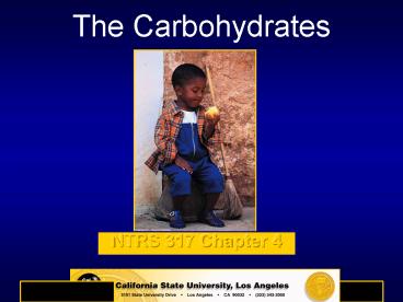 The Carbohydrates