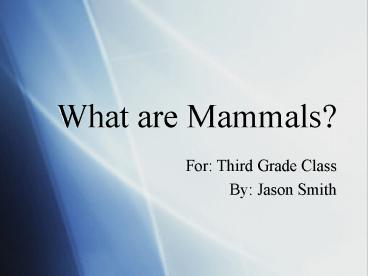 What are Mammals