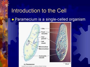 Introduction to the Cell presentation | free to view