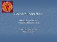 Perinatal Addiction PowerPoint PPT Presentation