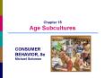 Chapter 15 Age Subcultures PowerPoint PPT Presentation