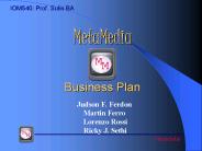 MetaMedia Business Plan
