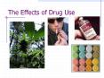 The Effects of Drug Use PowerPoint PPT Presentation