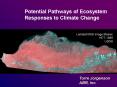 Potential Pathways of Ecosystem Responses to Climate Change PowerPoint PPT Presentation