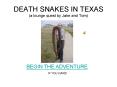 DEATH SNAKES IN TEXAS a lounge quest by Jake and Tom PowerPoint PPT Presentation