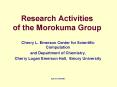 Research Activities of the Morokuma Group PowerPoint PPT Presentation