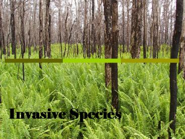 Invasive Species