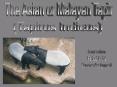 The Asian or Malayan Tapir PowerPoint PPT Presentation