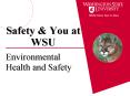 Safety PowerPoint PPT Presentation