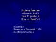 Protein function Where to find it' How to predict it' How to classify it' PowerPoint PPT Presentation