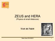ZEUS and HERA (Physics at small distances)