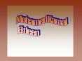 Mohamed Kamal PowerPoint PPT Presentation