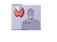 The microscopic structure of the thyroid is quite distinctive' Thyroid epithelial cells the cells re PowerPoint PPT Presentation