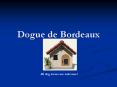 Dogue de Bordeaux PowerPoint PPT Presentation
