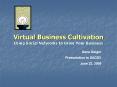 Virtual Business Cultivation Using Social Networks to Grow Your Business PowerPoint PPT Presentation