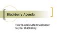 Blackberry Agenda PowerPoint PPT Presentation