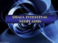 SMALL INTESTINAL NEOPLASMS PowerPoint PPT Presentation
