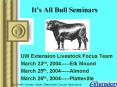 Its All Bull Seminars PowerPoint PPT Presentation