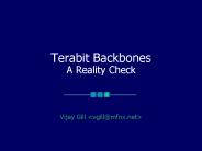 Terabit Backbones A Reality Check