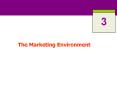 The Marketing Environment PowerPoint PPT Presentation