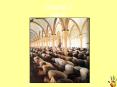 Chapter 8 Islam PowerPoint PPT Presentation