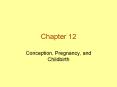 Conception,%20Pregnancy,%20and%20Childbirth PowerPoint PPT Presentation