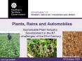 Plants, Rains and Automobiles PowerPoint PPT Presentation
