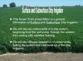 Surface and Subsurface Drip Irrigation PowerPoint PPT Presentation