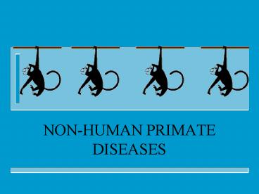 NONHUMAN PRIMATE DISEASES