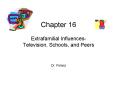 Extrafamilial InfluencesTelevision, Schools, and Peers PowerPoint PPT Presentation
