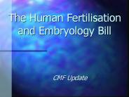 The Human Fertilisation and Embryology Bill