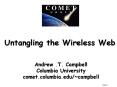 Untangling the Wireless Web PowerPoint PPT Presentation