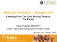 Maternal Mortality in Bangladesh PowerPoint PPT Presentation