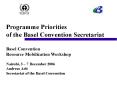 Programme Priorities of the Basel Convention Secretariat PowerPoint PPT Presentation