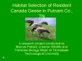 Habitat Selection of Resident Canada Geese in Putnam Co., TN PowerPoint PPT Presentation