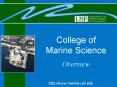 College of Marine Science PowerPoint PPT Presentation