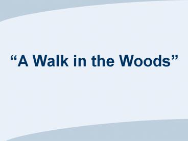 Focus on The Market Basket