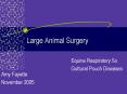Large Animal Surgery PowerPoint PPT Presentation