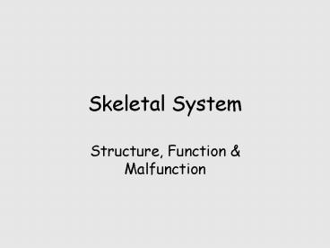 Skeletal System
